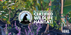 wildlife habitat webslider